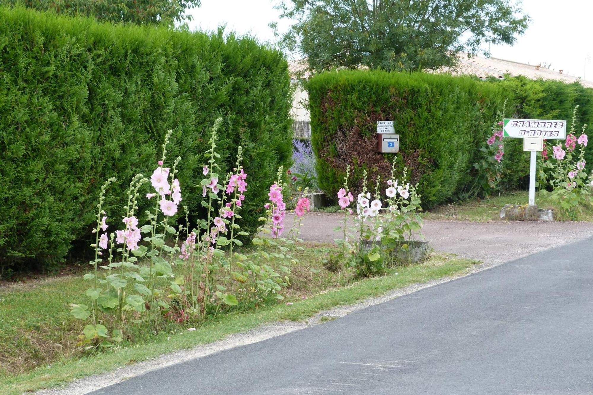 Chambre D'Hotes Les 3 Moulins Cozes ภายนอก รูปภาพ