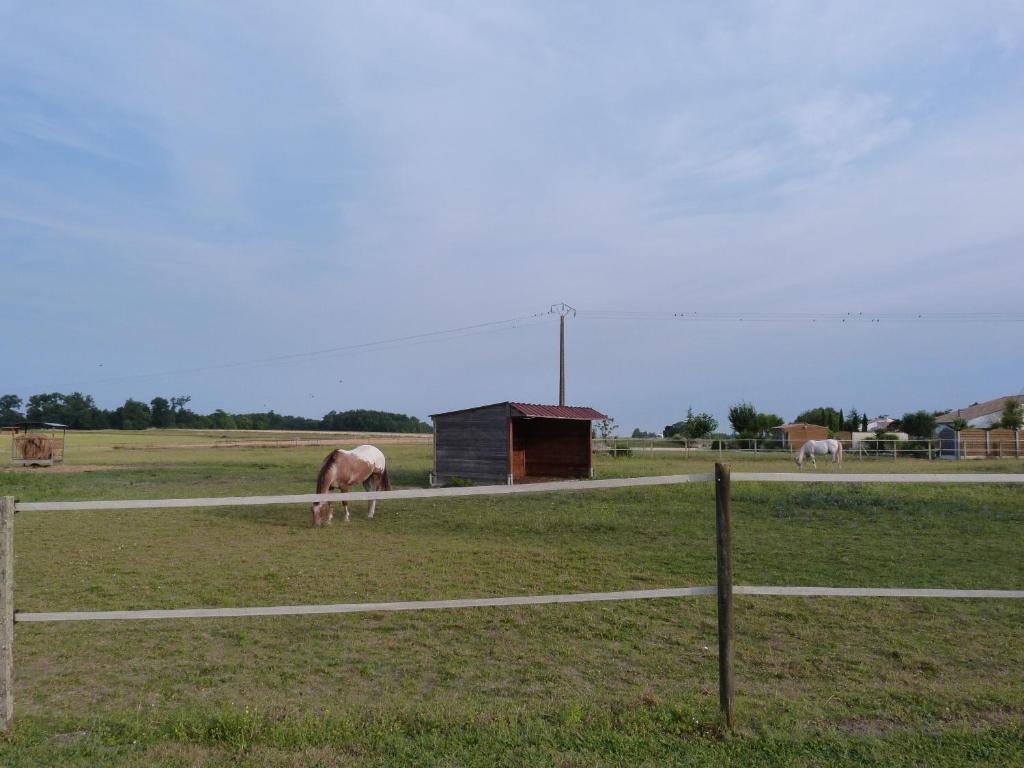 Chambre D'Hotes Les 3 Moulins Cozes ภายนอก รูปภาพ