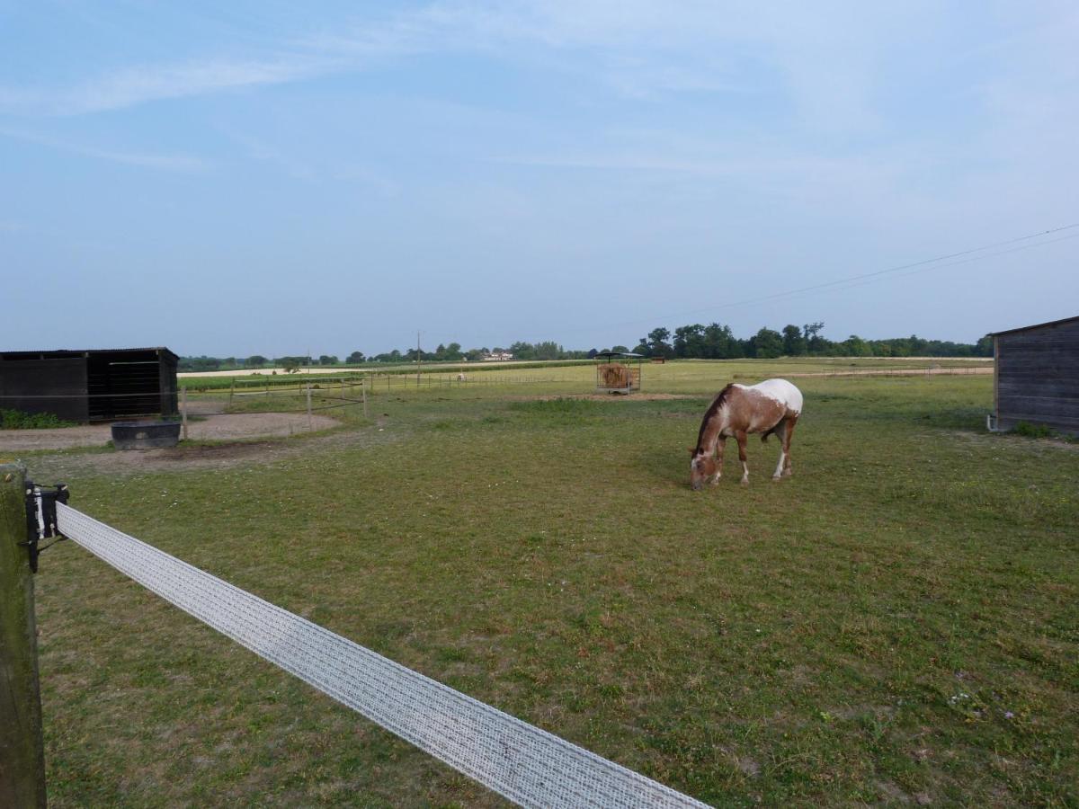 Chambre D'Hotes Les 3 Moulins Cozes ภายนอก รูปภาพ